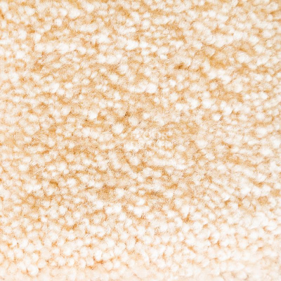 Ковролин AW Masquerade Gaudia 38 фото 1 | FLOORDEALER